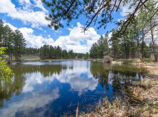 12355 Star Valley Dr, Custer, SD 57730