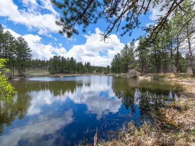 12355 Star Valley Dr, Custer, SD, 57730