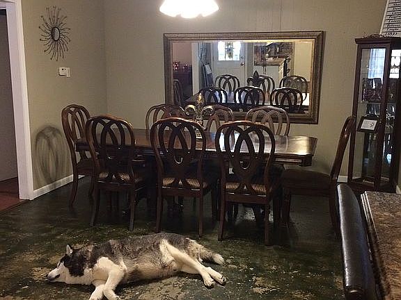Dining (rug not included)
