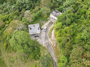 183 Ramal #916, San Lorenzo, PR 00754