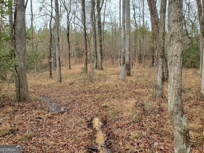 0 McGhee Rd, Sparta, GA, 31087