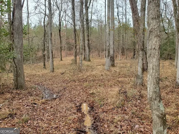 0 McGhee Rd, Sparta, GA 31087
