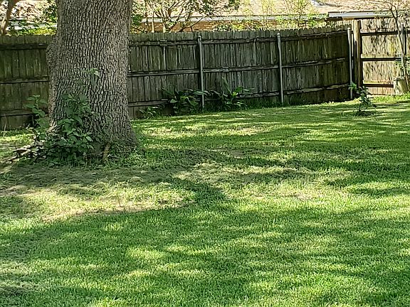 Shaded back yard