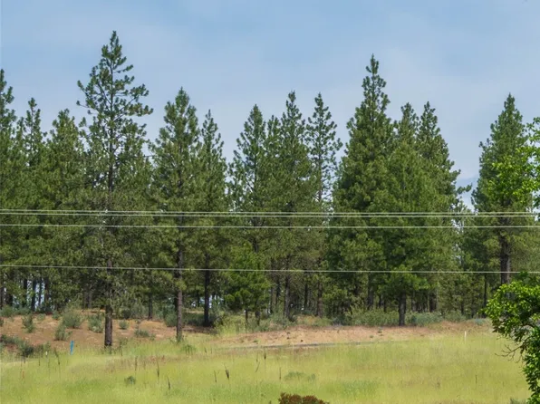 25276 Pine Cone Court E, Lincoln, WA 99147