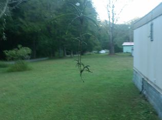 1009 Anthony Creek Rd, Birch River, WV 26610