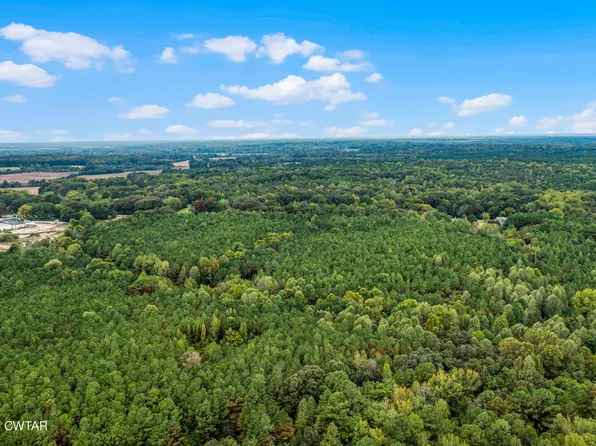 0 Rawls Rd, Palmersville, TN 38241