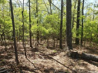 12900 Lake Lurleen Rd, Coker, AL 35452