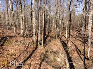 0 Lone Oak Rd TRACT 1, Hogansville, GA 30230