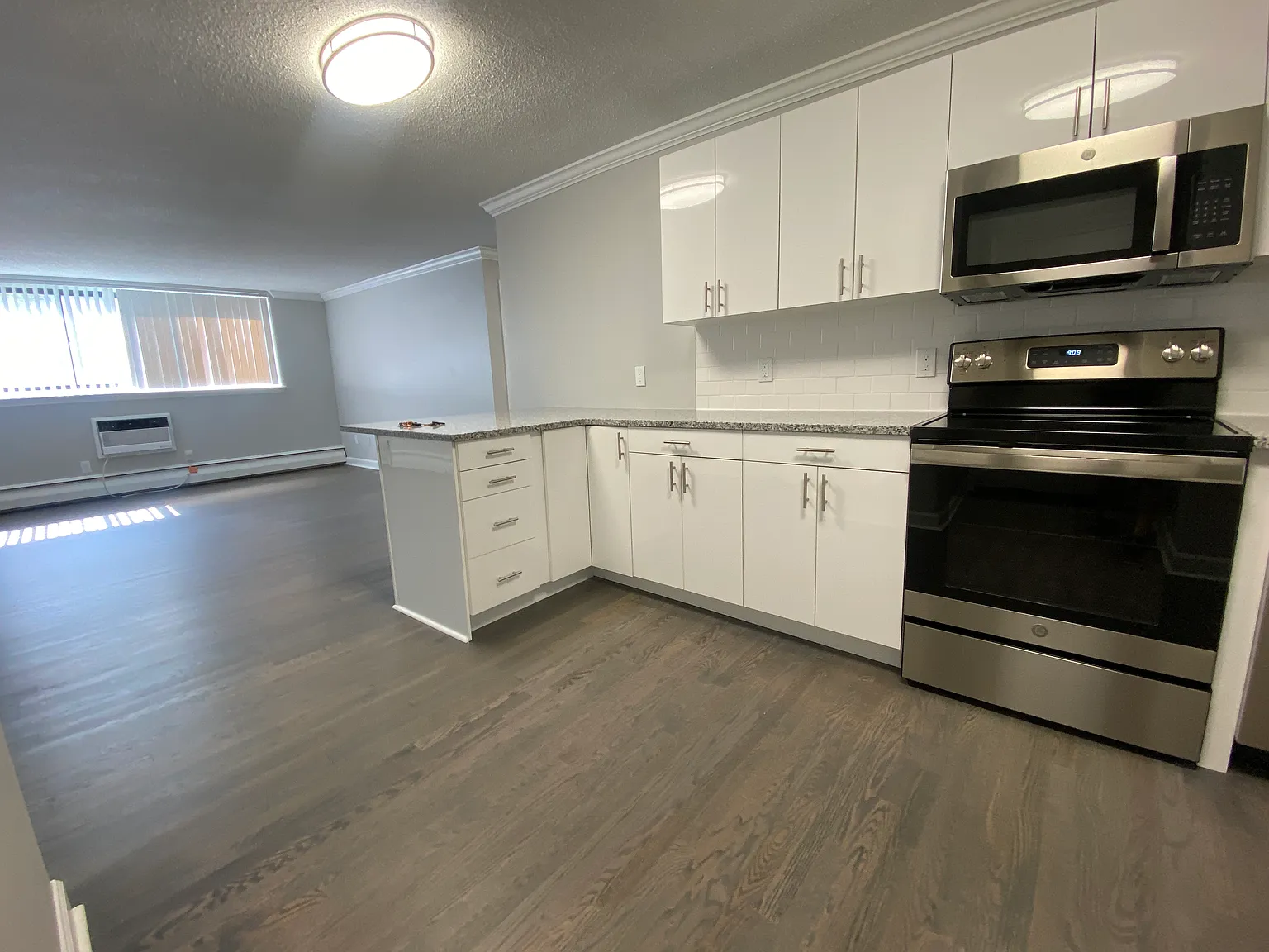 2 bed, 1005 sqft, $3,800 — Photo 2