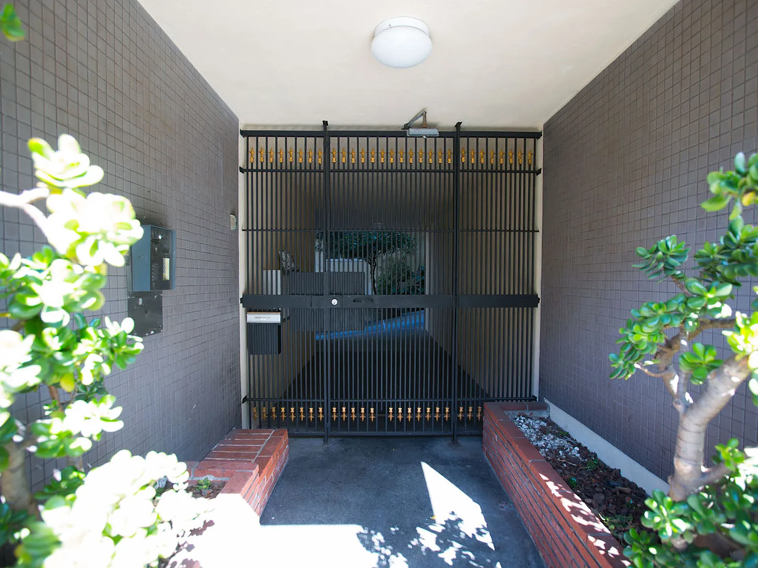240 St Joseph's — Photo 3