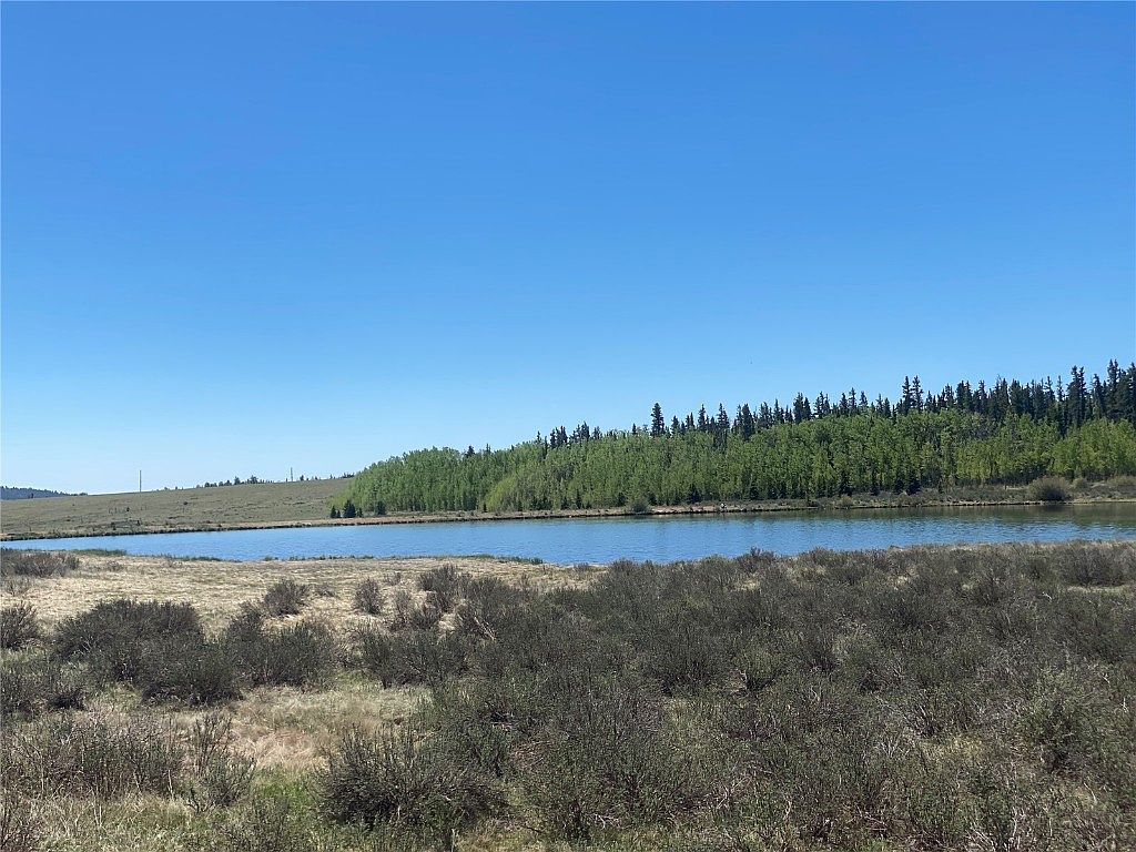 756 Iron Mountain Rd, Fairplay, CO 80440 MLS S1041125 Zillow