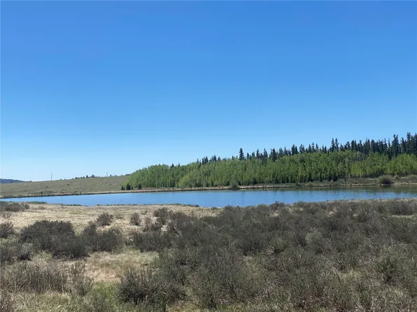 756 Iron Mountain Rd, Fairplay, CO 80440