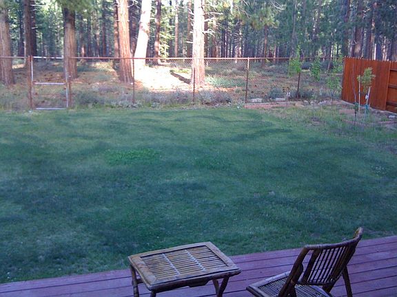 Back yard