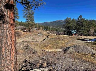 697 Harman Ave, Pagosa Springs, CO 81147