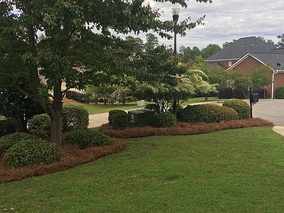 Front yard