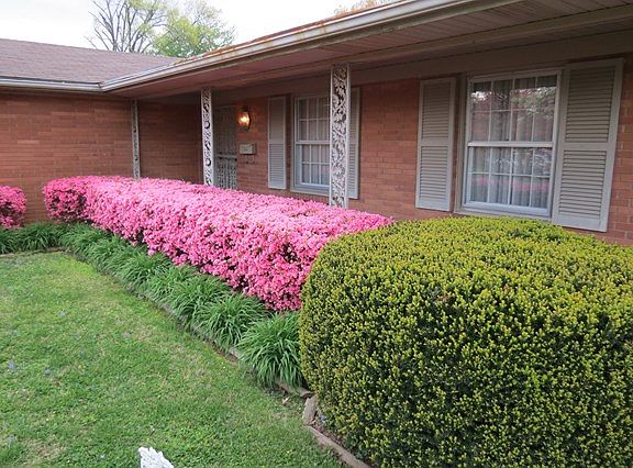 5th image of 723 Walnut Park Dr