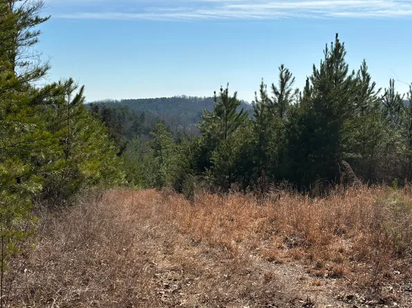 0 Vaughn Mill Rd, Evensville, TN 37332