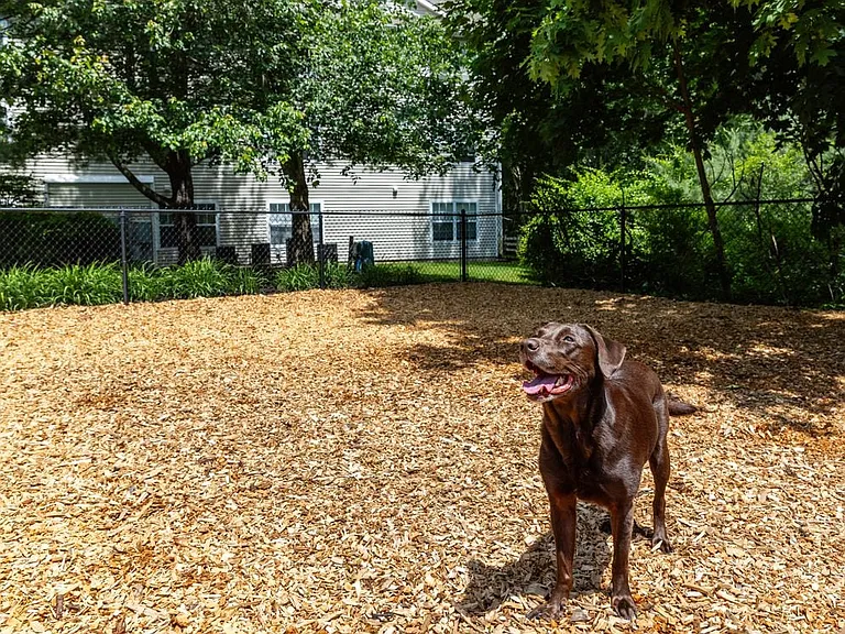 eaves Wilmington WAG pet park