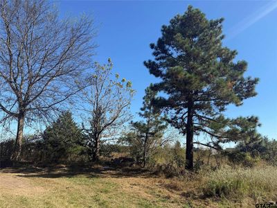 3240 Fm 2966, Quitman, TX, 75783