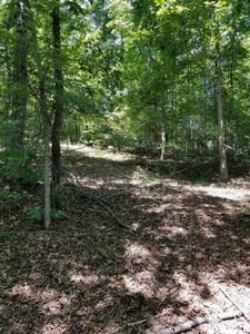 0 Mitchell Mill Rd #2, Gladys, VA, 24554
