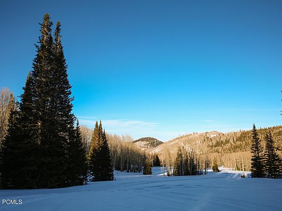 2nd image of 323 White Pine Canyon Road 323