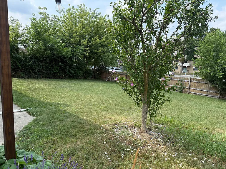 1202 E Ardyce Ln #1 — Photo 35
