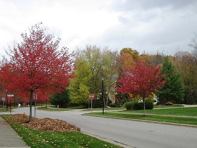 3rd image of 6128 Chagrin Highlands Dr