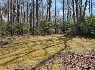 931 Apache Trl, Fancy Gap, VA 24328