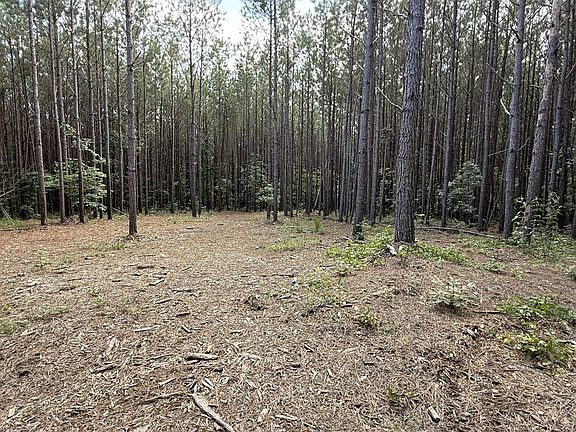 4th image of 191 Seiber Ridge Rd Lot 131