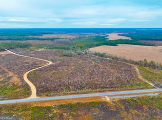 0 Fender Bay Rd LOT WP001, Willacoochee, GA 31650