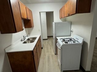 519 10th Ave SE Apartment, Minneapolis, MN 55414