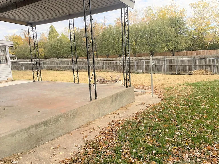 Back yard