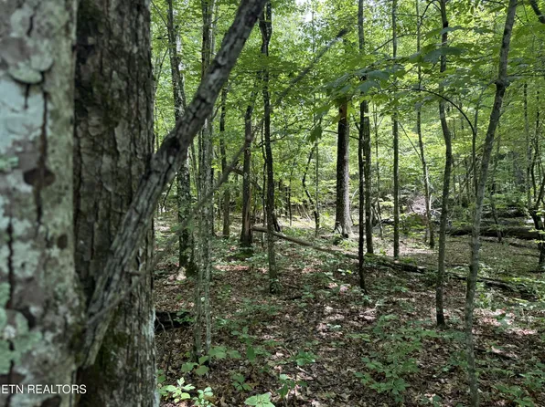 0 Icy Cove Trl Lot 25, Monterey, TN 38574