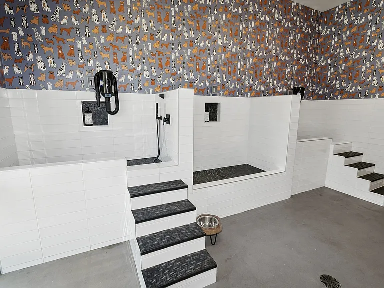 Addison_amenity_paw wash