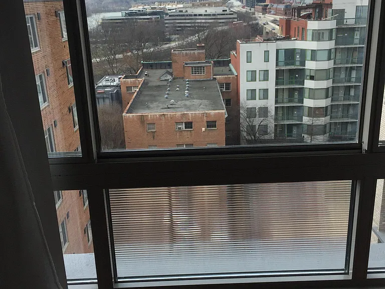 Picture Window View