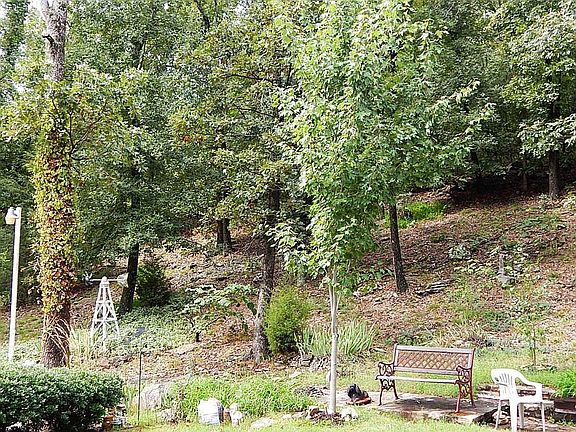 View FT Porch Wooded area