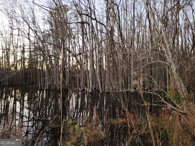 200 Ray Howell Ln, Statesboro, GA, 30461