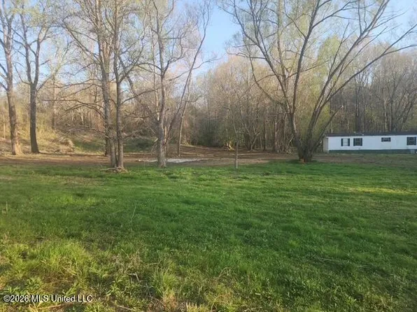 2085 Prichard Rd, Coldwater, MS 38618