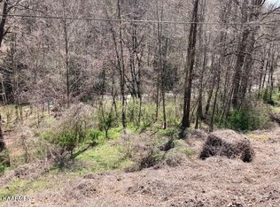 1ACR E Habersham Rd, Duff, TN 37729