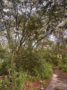 000 NE 30th Pl, Williston, FL, 32696