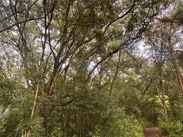 000 NE 30th Pl, Williston, FL 32696