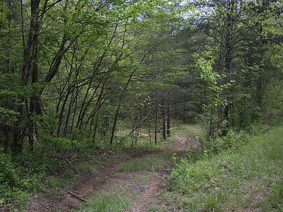 2nd image of 9999 Hemlock St Lot 9999