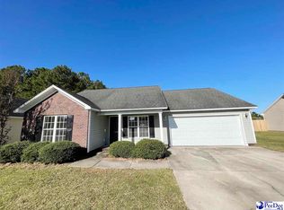 3058 Red Berry Cir, Effingham, SC 29541