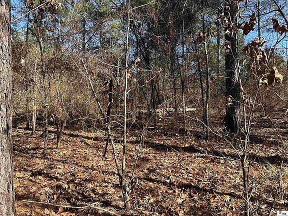 3rd image of 0 Dozier Rd