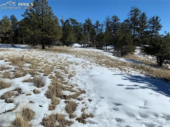 2627 Pikes Peak Dr, Florissant, CO 80816