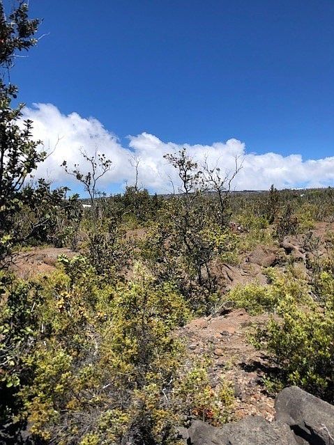 2nd image of 92-2335 Ocean View Pkwy Lot 35