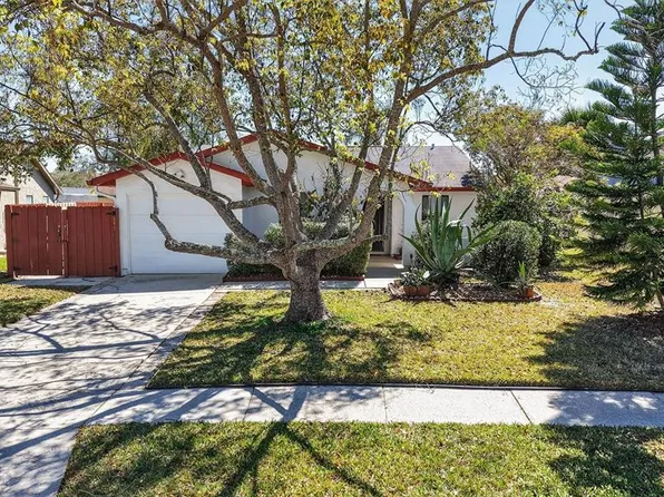 215 Lake Charles Ct, Oldsmar, FL 34677