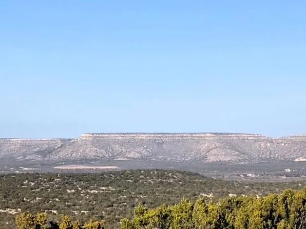 1235 Rocky Top Rd #20A, Robert Lee, TX 76945