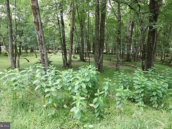 4th image of Long Brook Way