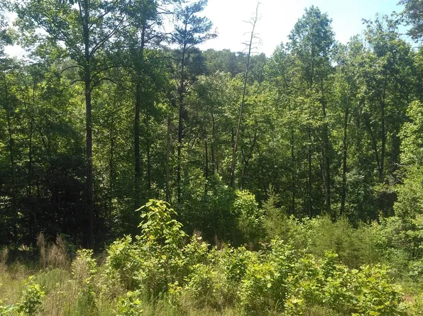 LOT 3 Falls Dr, Mill Spring, NC 28756